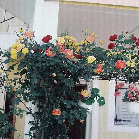 Gasthuis The Garden's