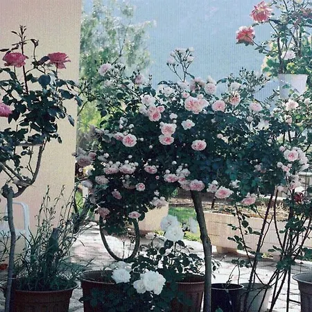 The Garden's Gasthuis