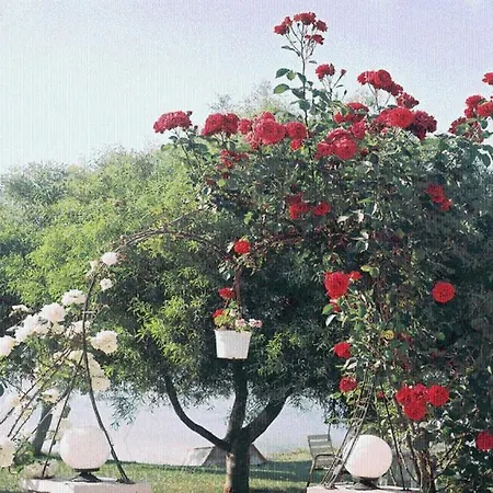 The Garden's 3*