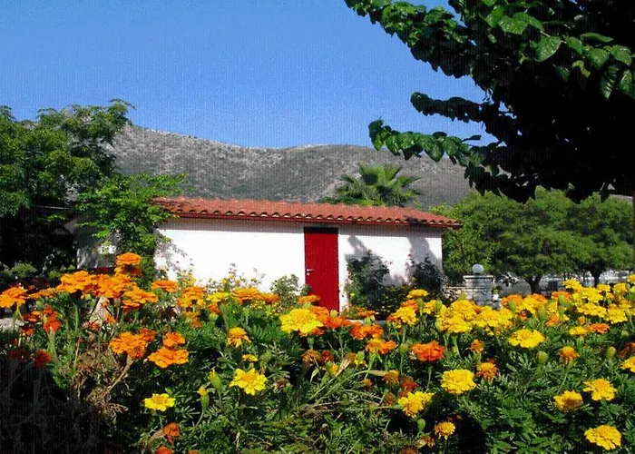 The Garden's