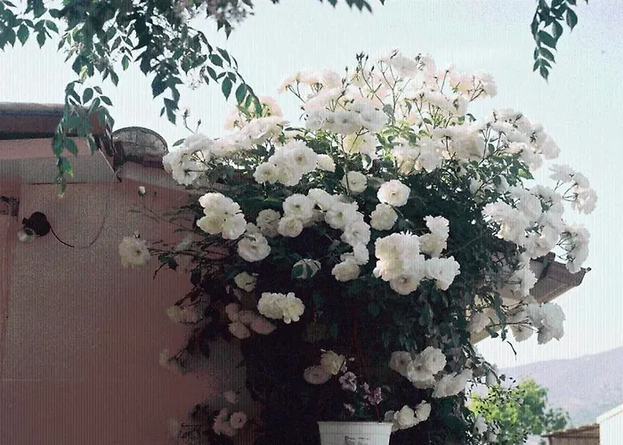 The Garden's 3* Vlikhón
