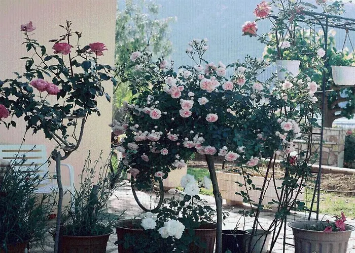 The Garden's 招待所