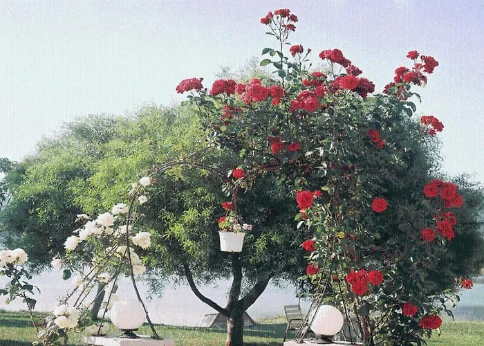 The Garden's 3*