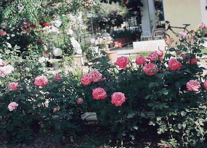 The Garden's
