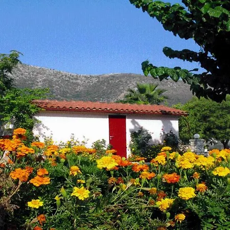 The Garden's Studios