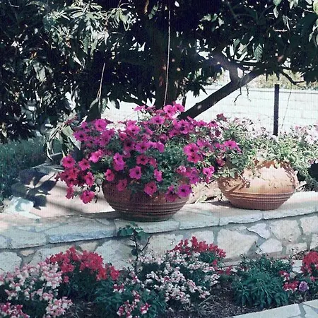 The Garden's Studios Vlikhón